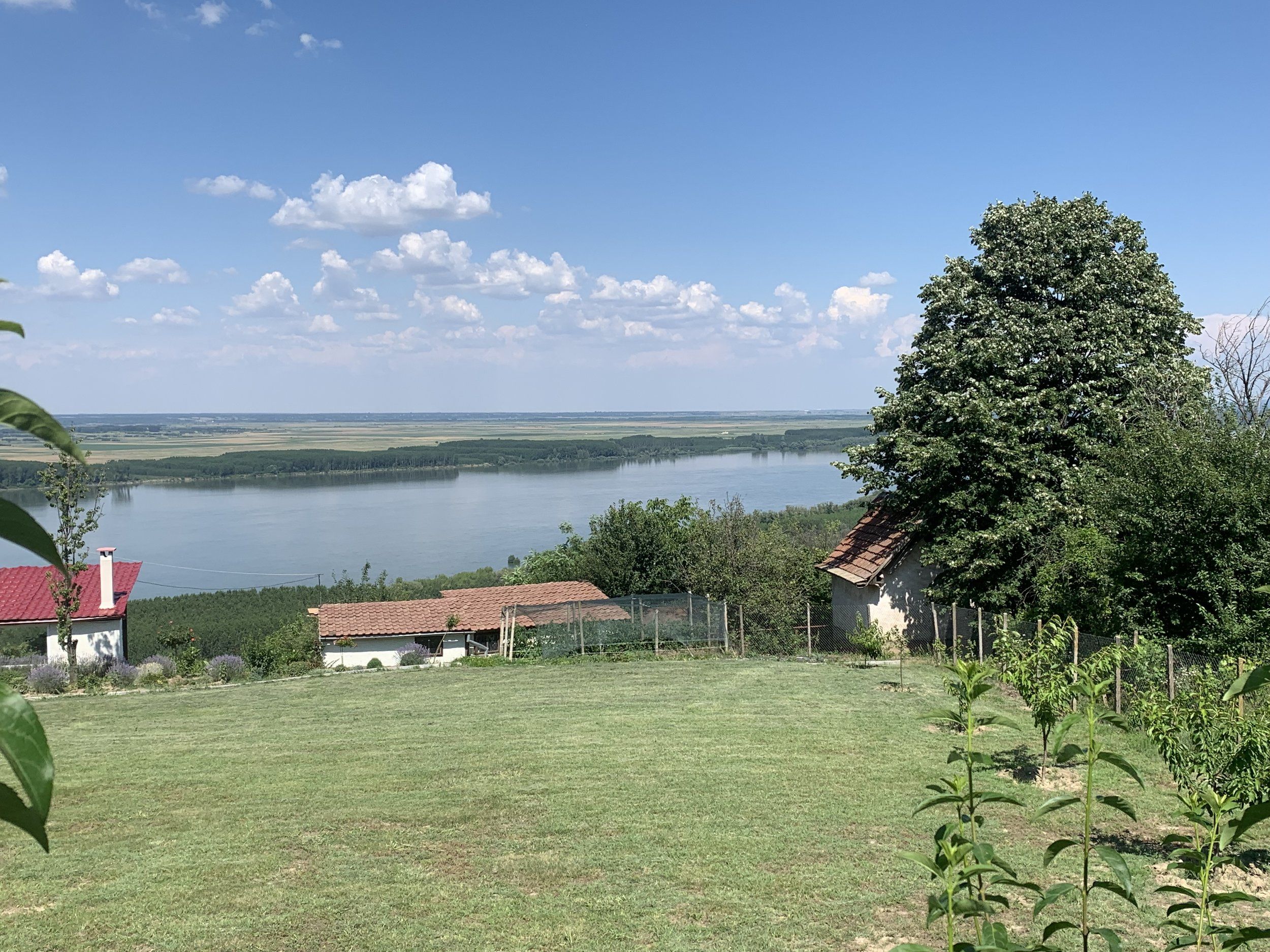 IMG_0303.jpeg