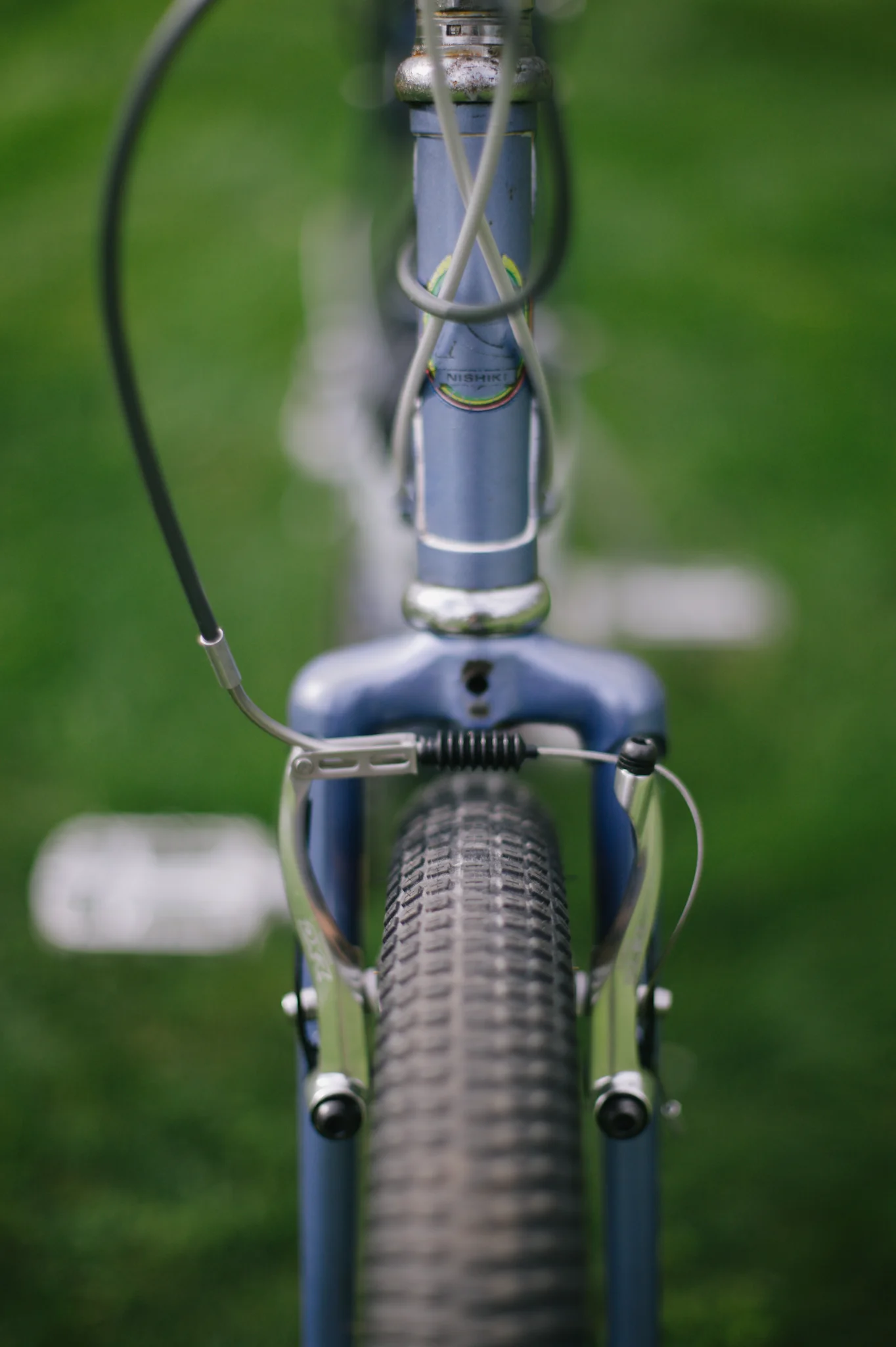 IMG_0329_2048.webp