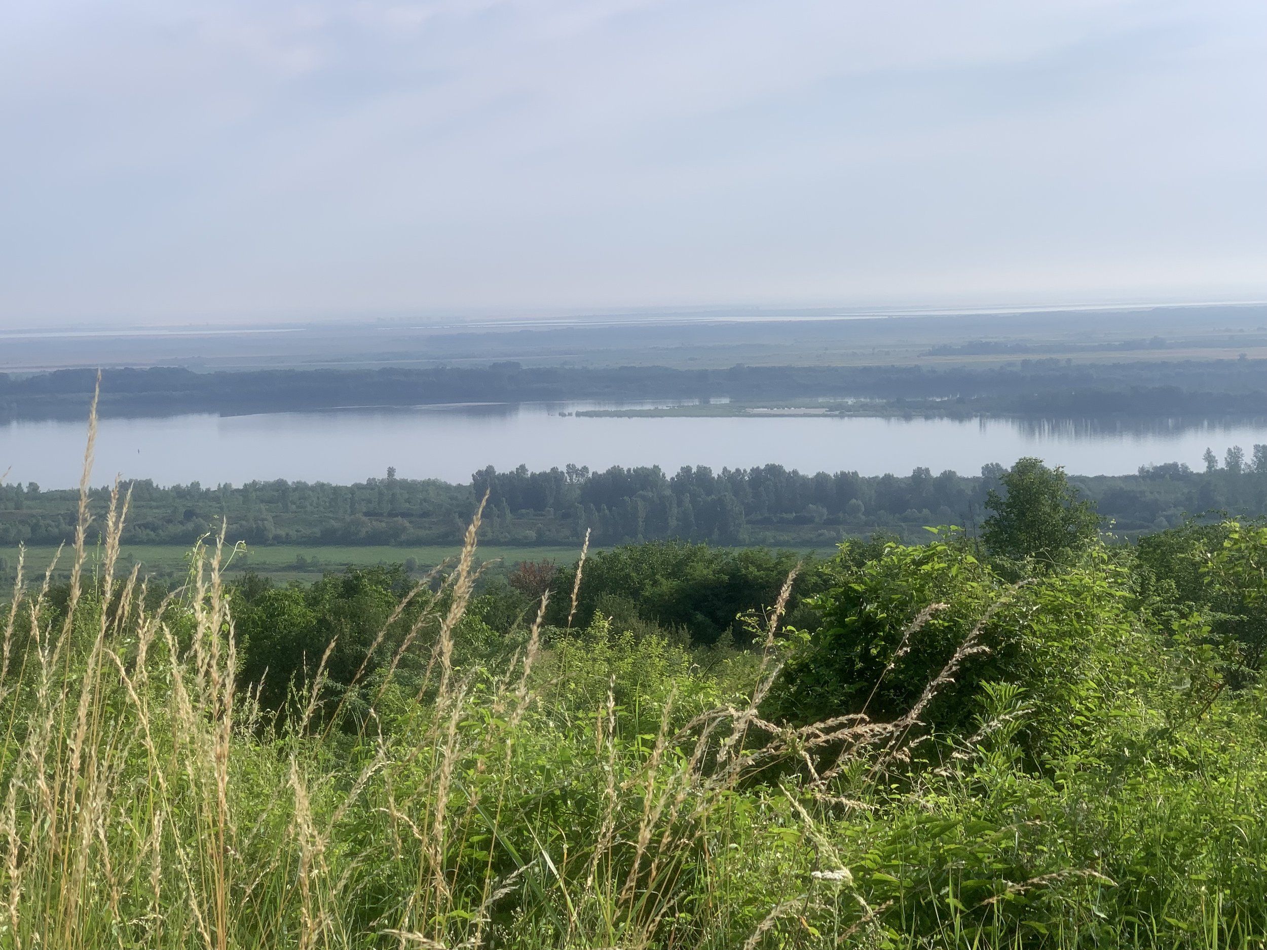IMG_0341.jpeg