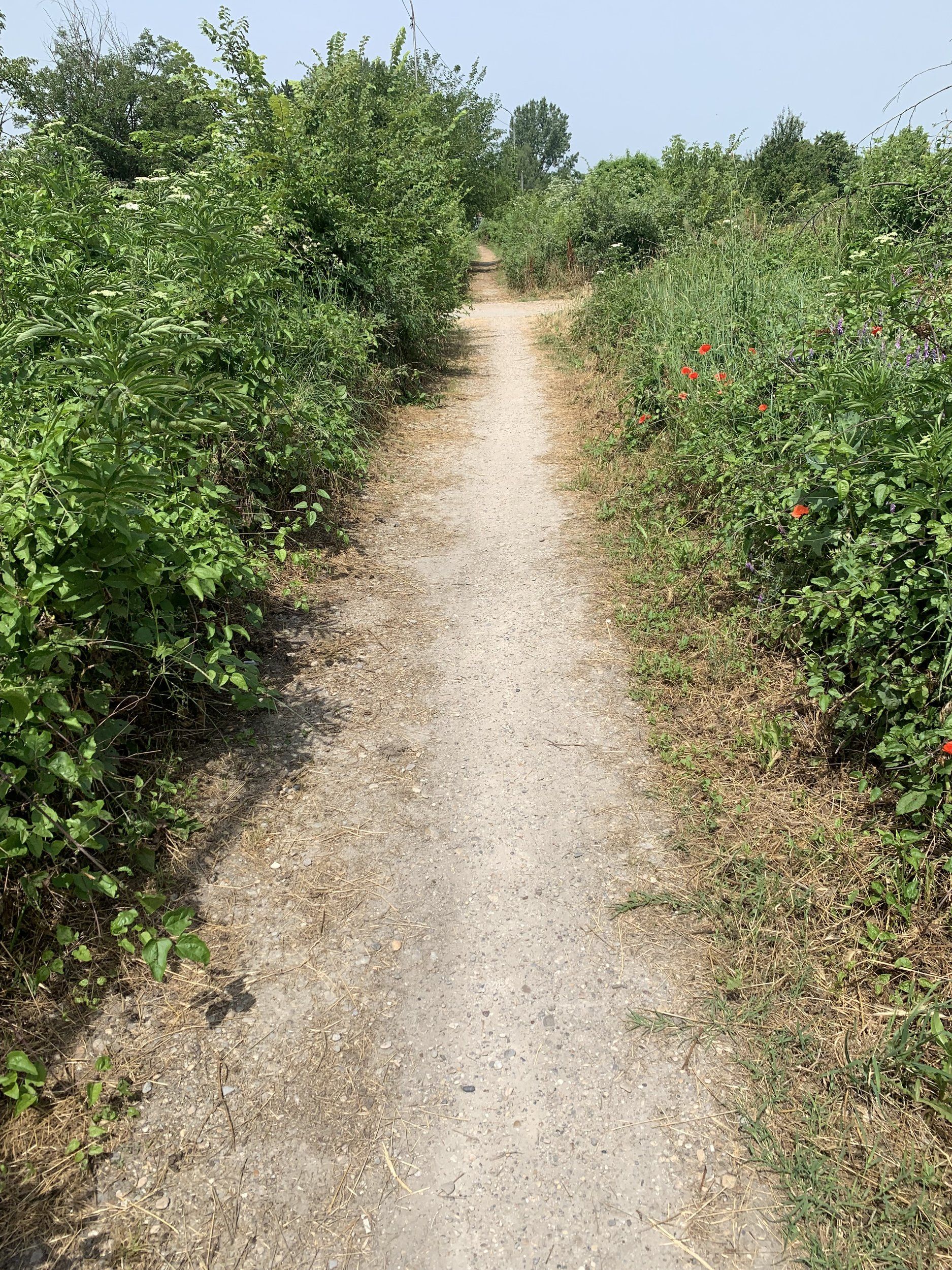 IMG_0363.jpeg