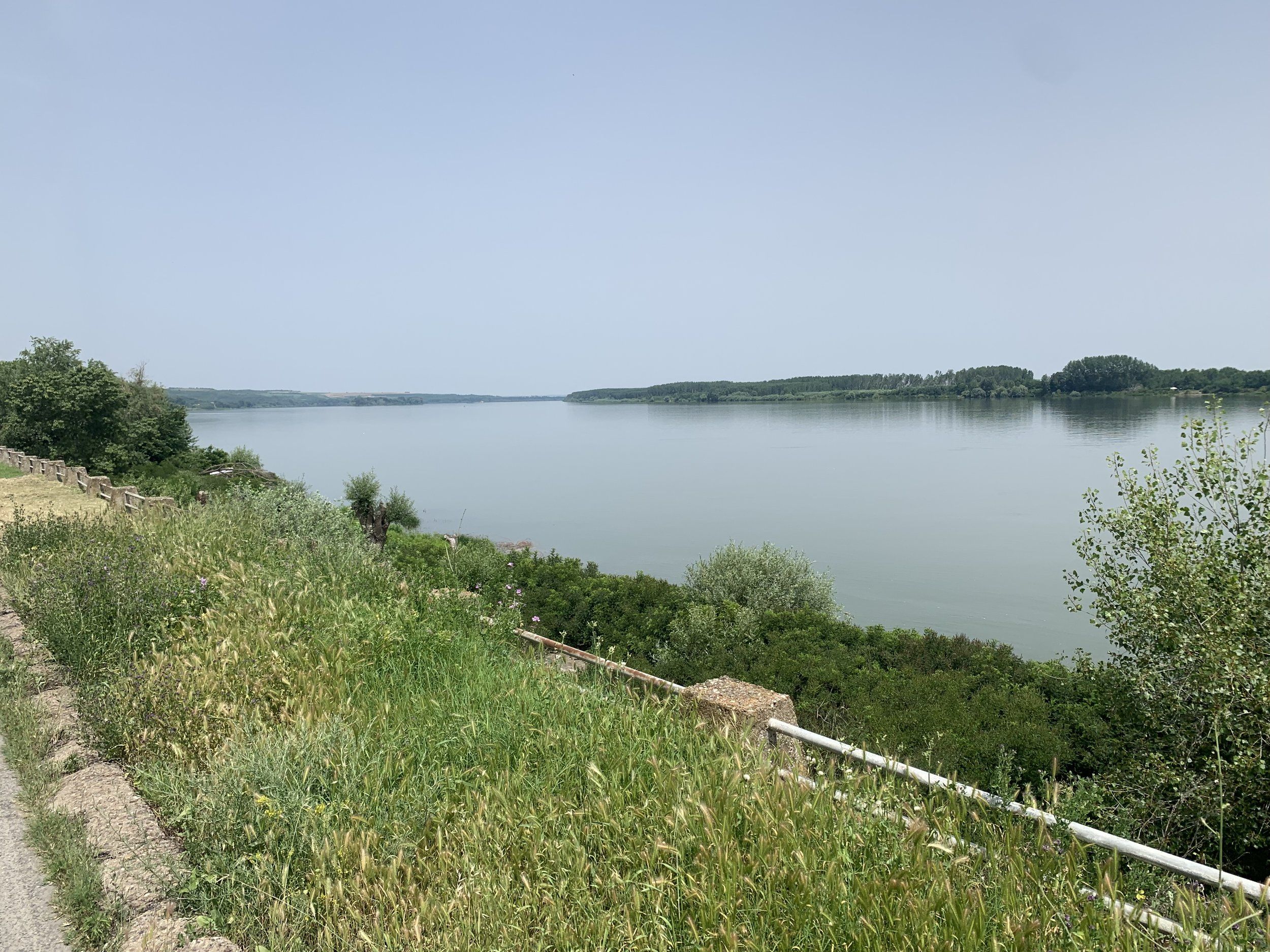 IMG_0370.jpeg