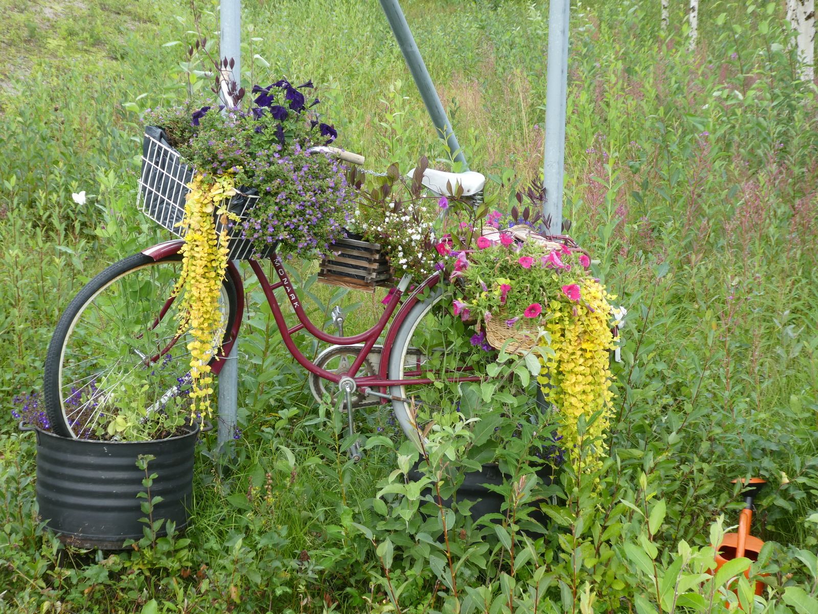 IMG_0430.JPG
