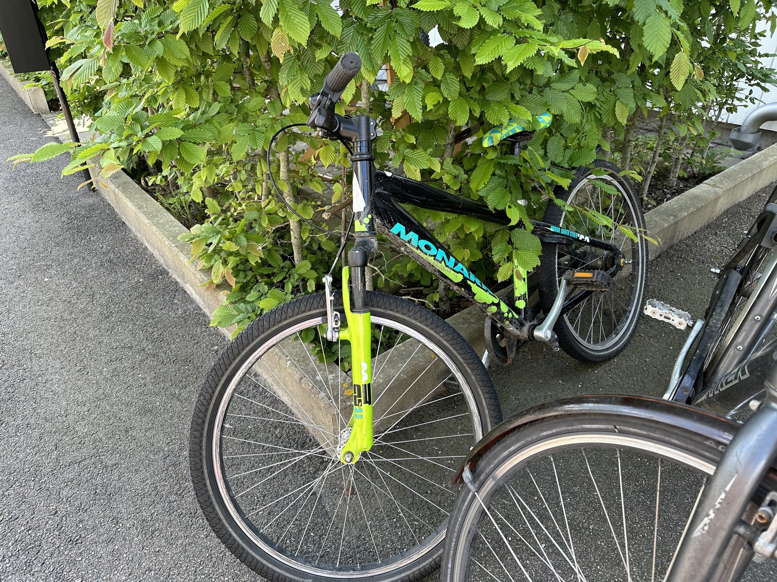 IMG_0474.jpeg