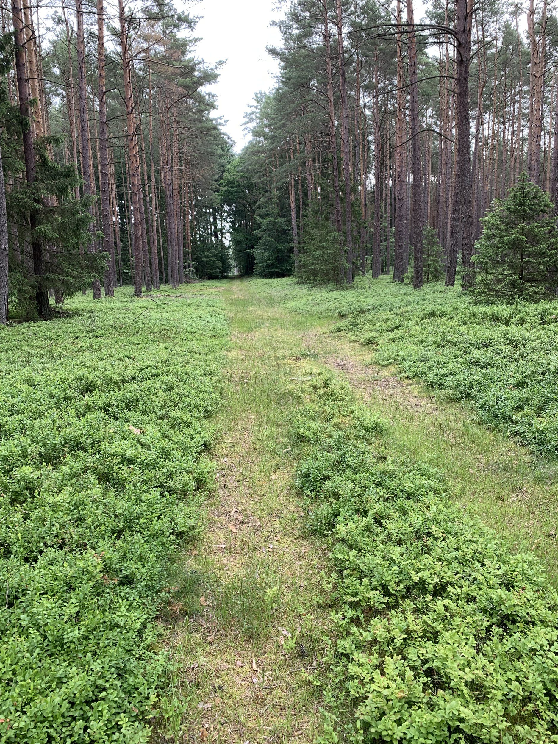 IMG_0499.jpeg