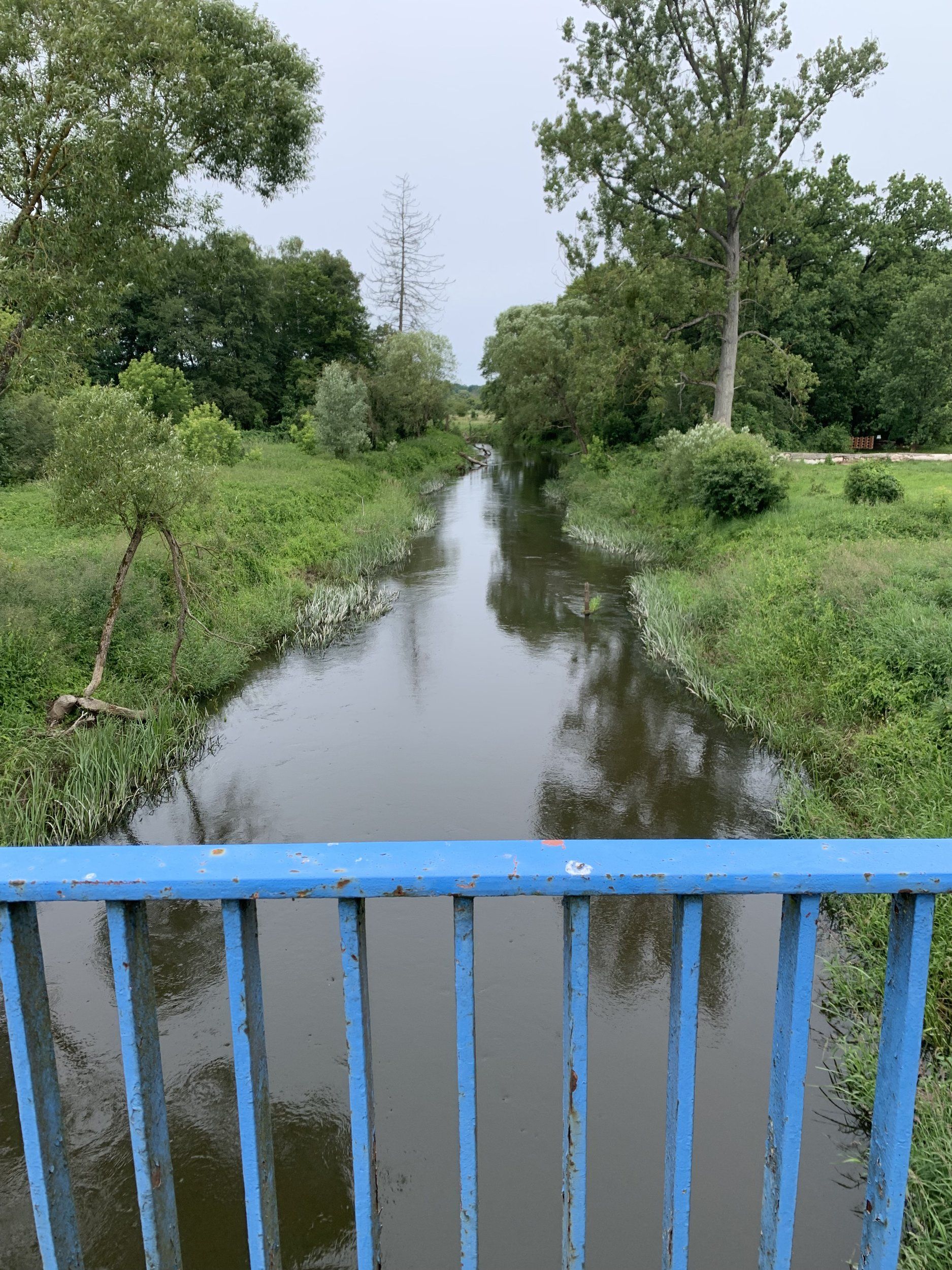 IMG_0508.jpeg