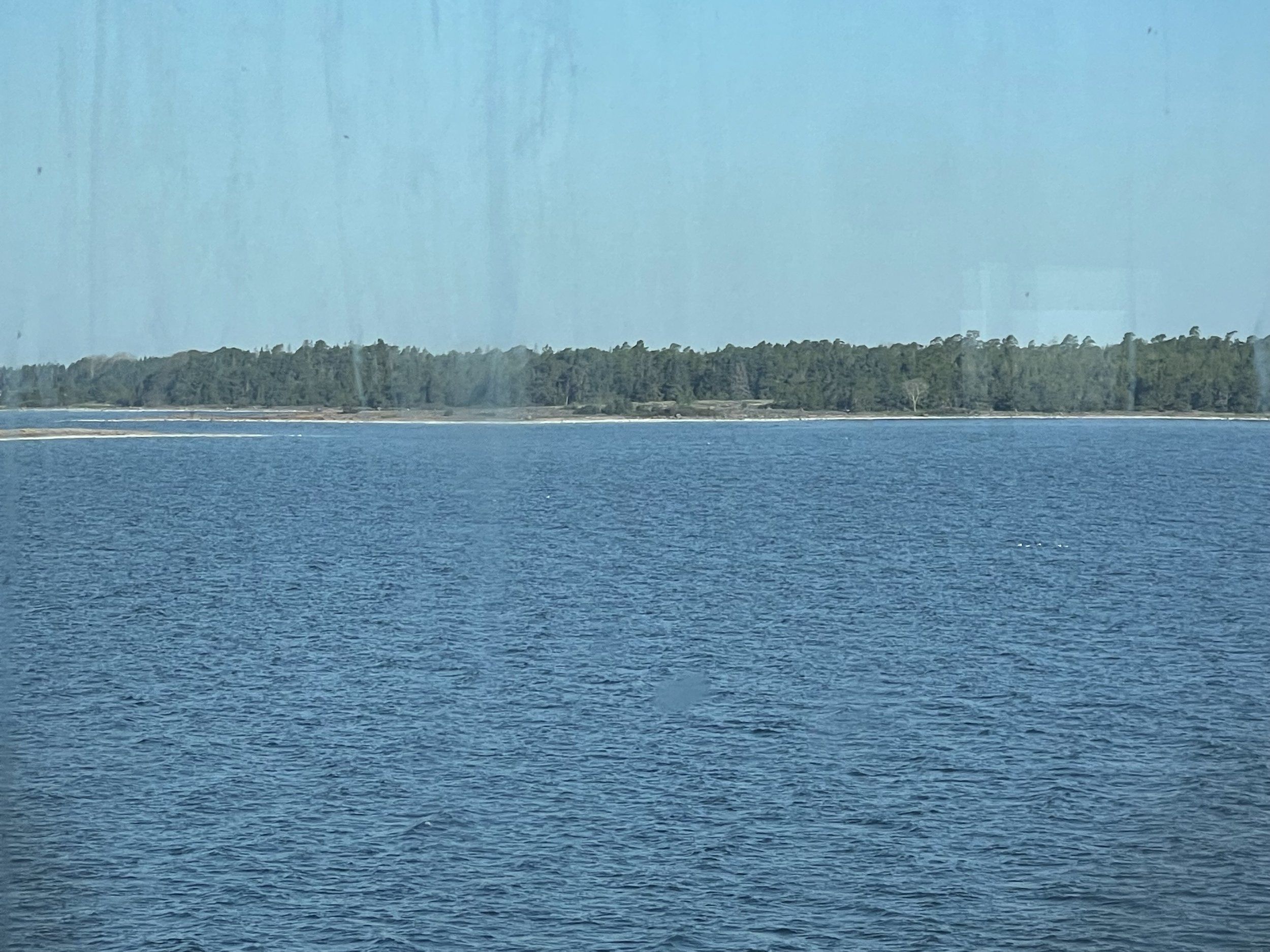 IMG_0576.jpeg
