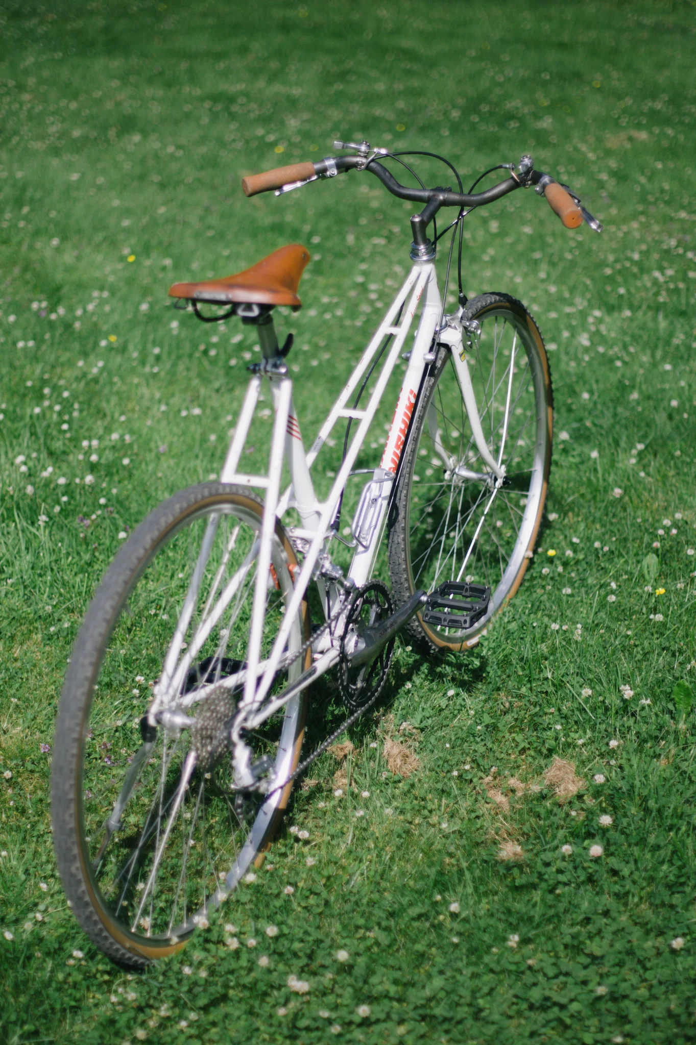 IMG_0641_2048.webp
