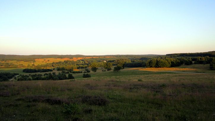 IMG_0655.JPG