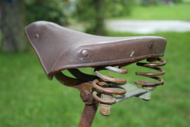 IMG_0669Medium.JPG ht=483