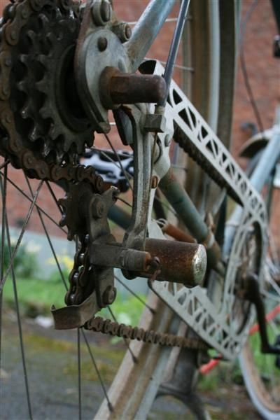 IMG_0673Medium.JPG ht=600