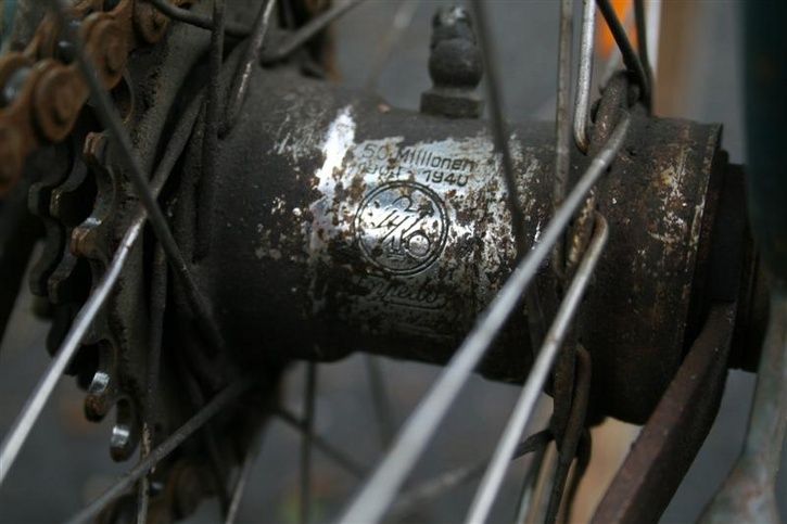 IMG_0681Medium2.JPG ht=483