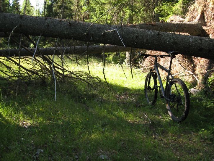 IMG_0736_s.jpg ht=544