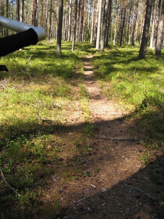 IMG_0746_s.jpg ht=725