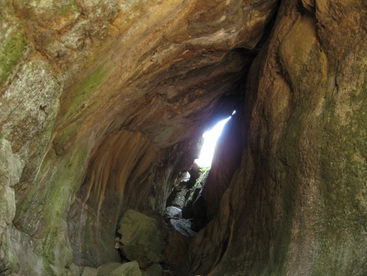 IMG_0752_S.jpg ht=544