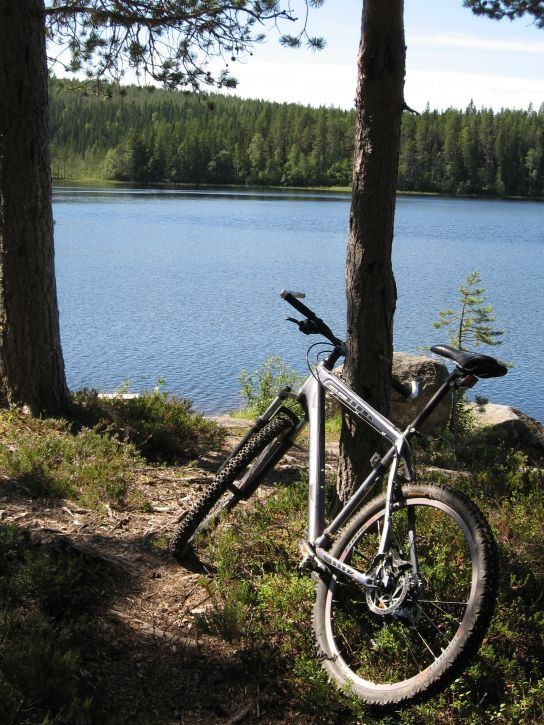 IMG_0772_s.jpg ht=725