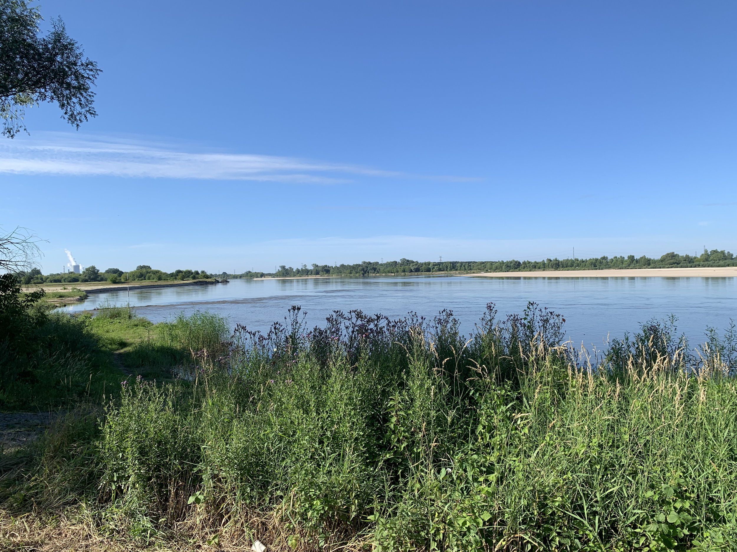 IMG_0776.jpeg