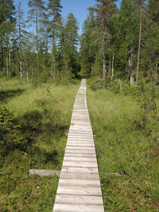 IMG_0779_s.jpg ht=725