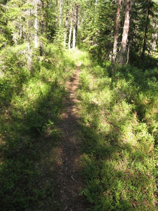 IMG_0781_s.jpg ht=725