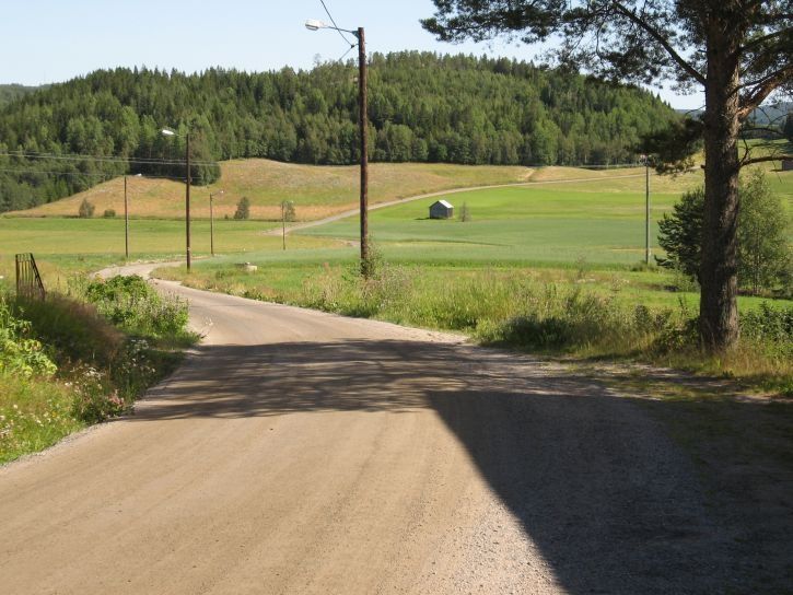 IMG_0784_s.jpg ht=544