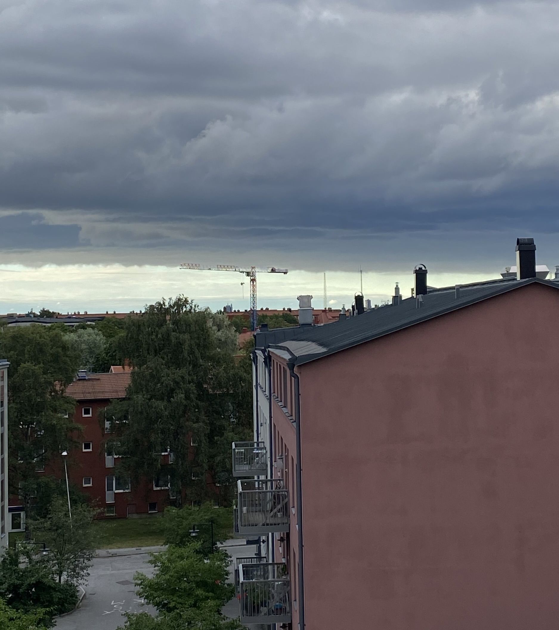 IMG_0808.jpeg