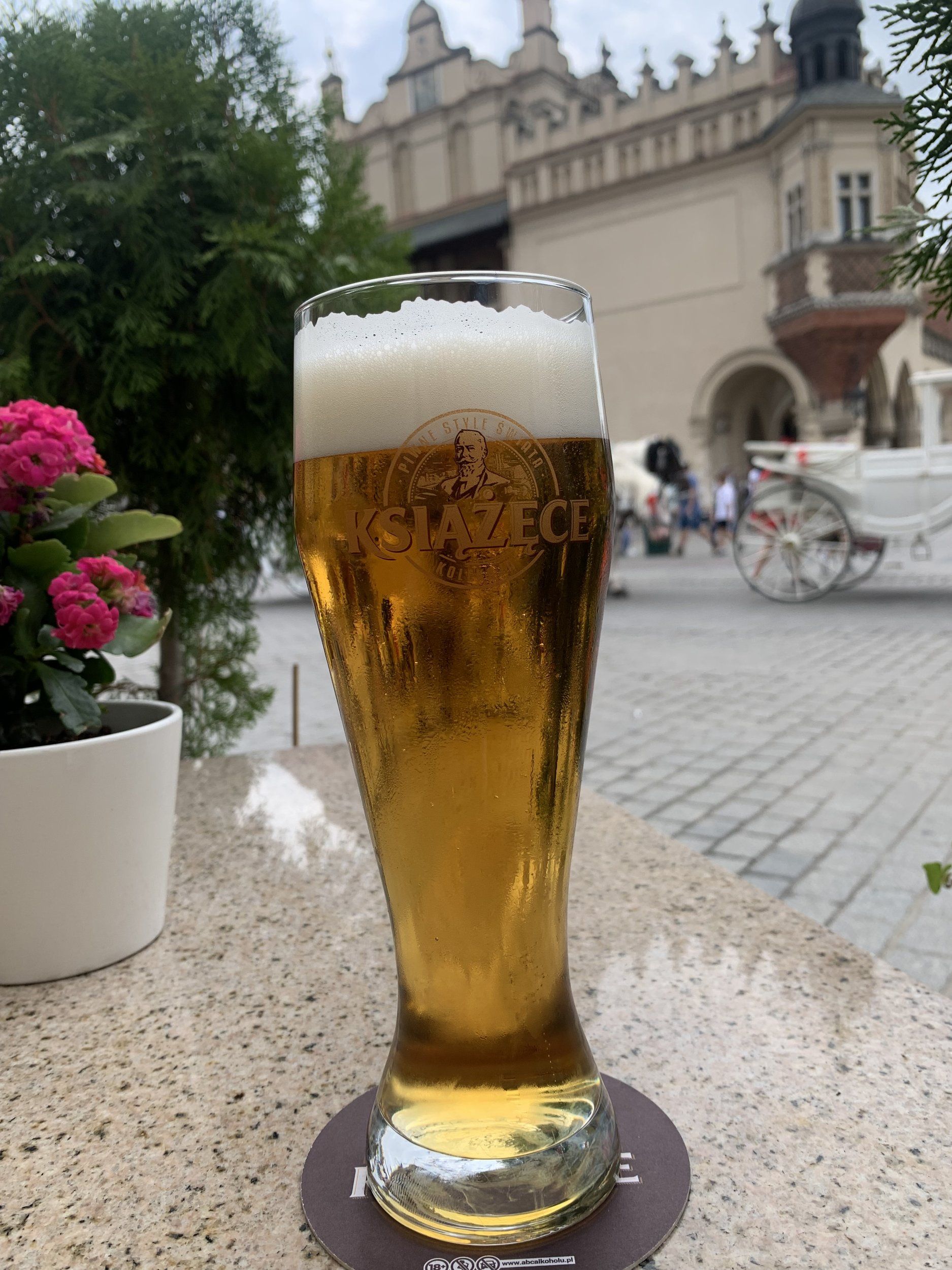 IMG_0831.jpeg