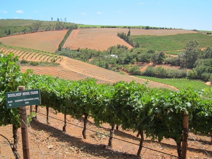 IMG_0916-mini.JPG ht=544