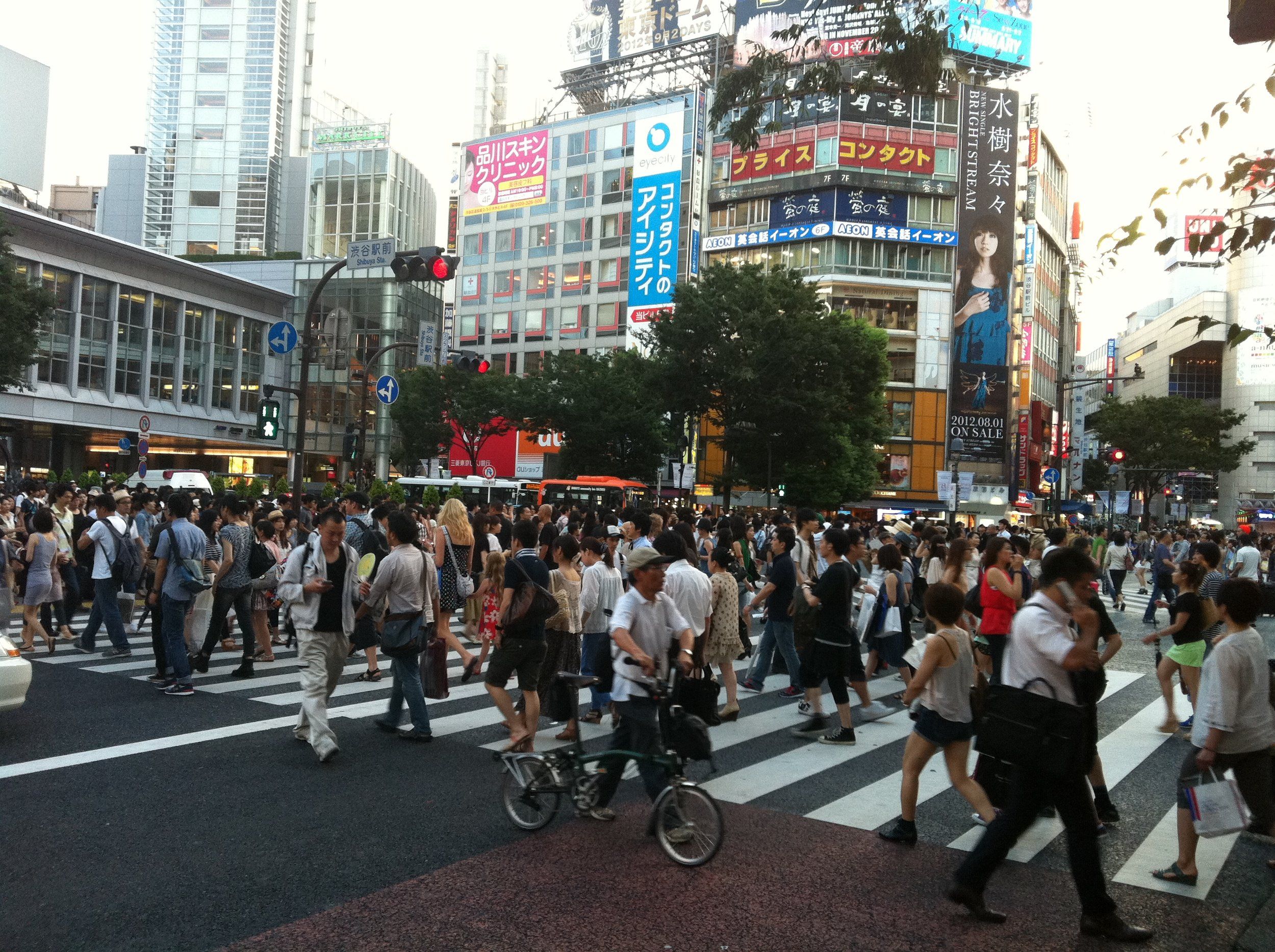 IMG_0932.jpeg