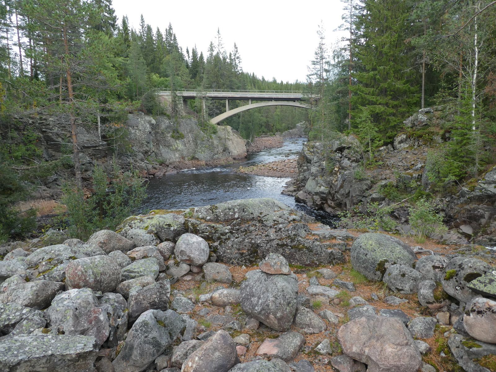 IMG_0943.JPG
