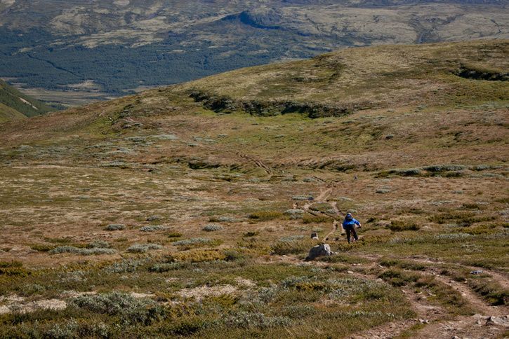 IMG_1025LR.jpg ht=484