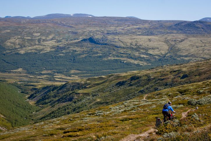 IMG_1031LR.jpg ht=484