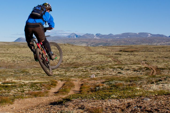 IMG_1069LR-2.jpg ht=484