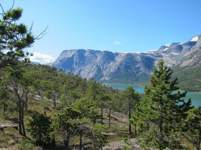 IMG_1103.jpg