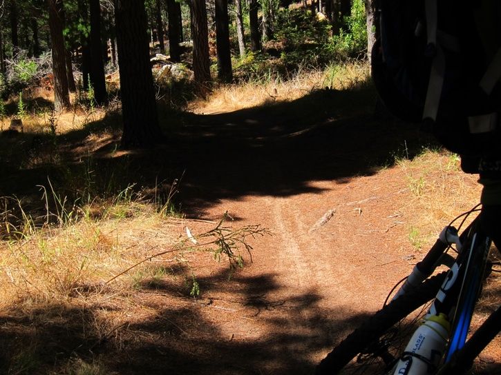 IMG_1184-mini.JPG ht=544