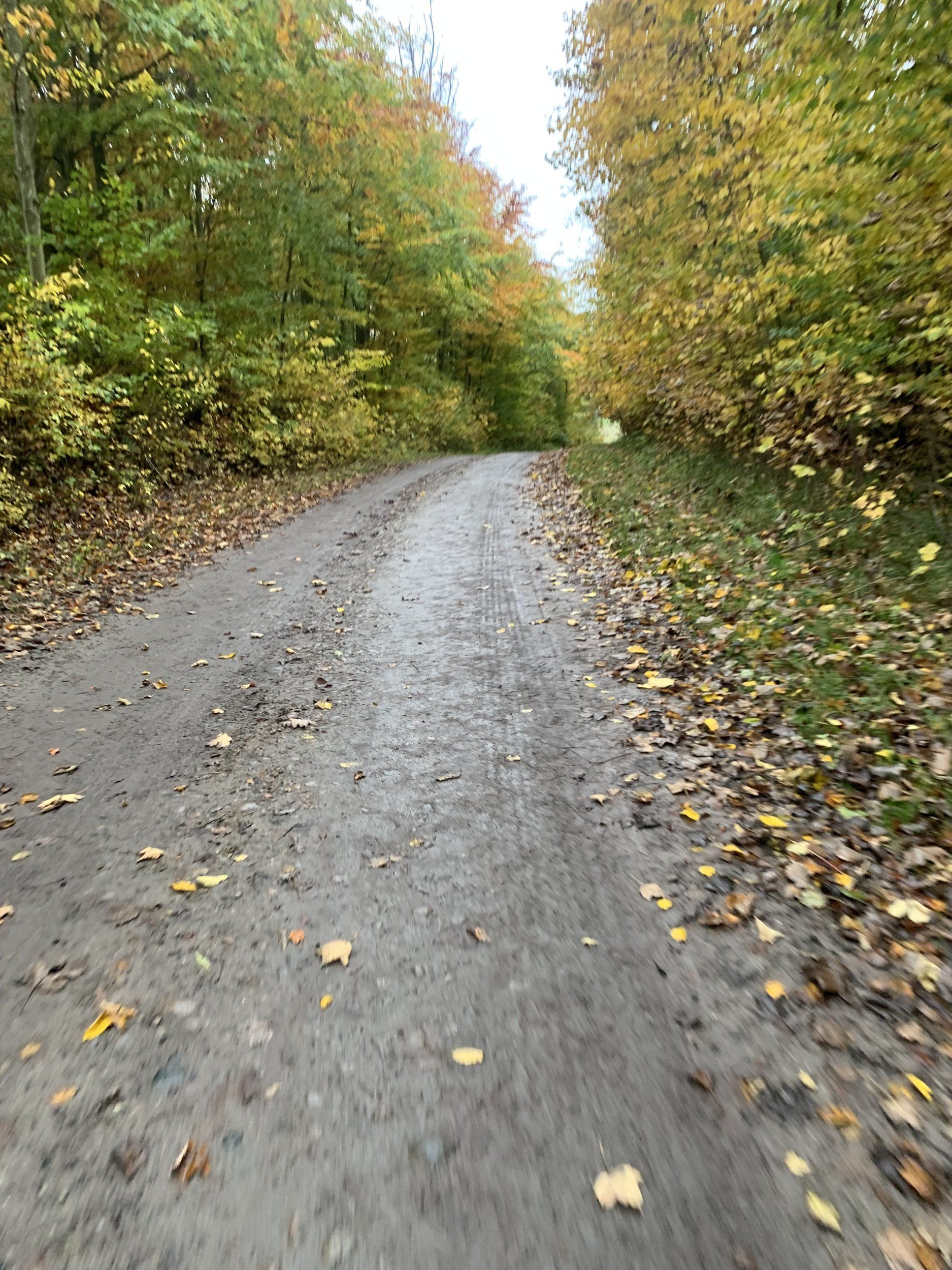 IMG_1190.JPG