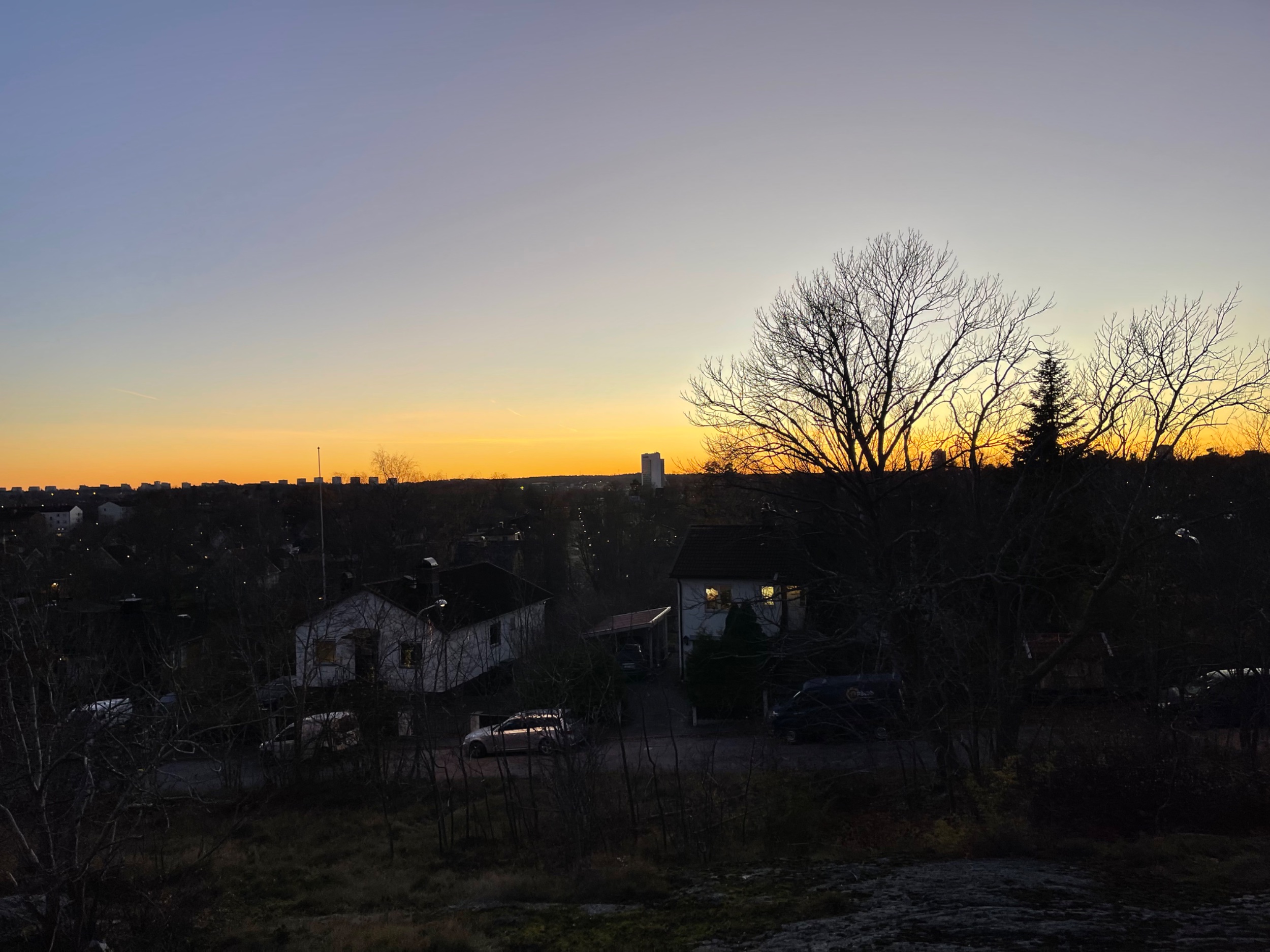 IMG_1194.jpeg