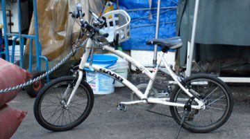 IMG_1244red.jpg ht=201