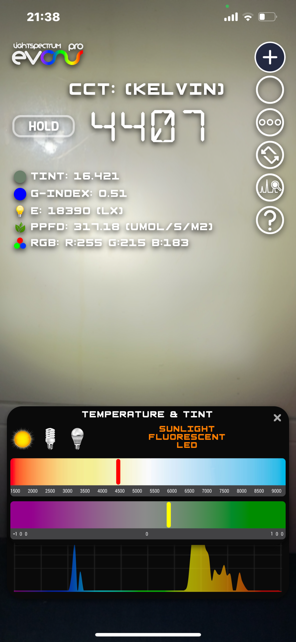 IMG_1304.png