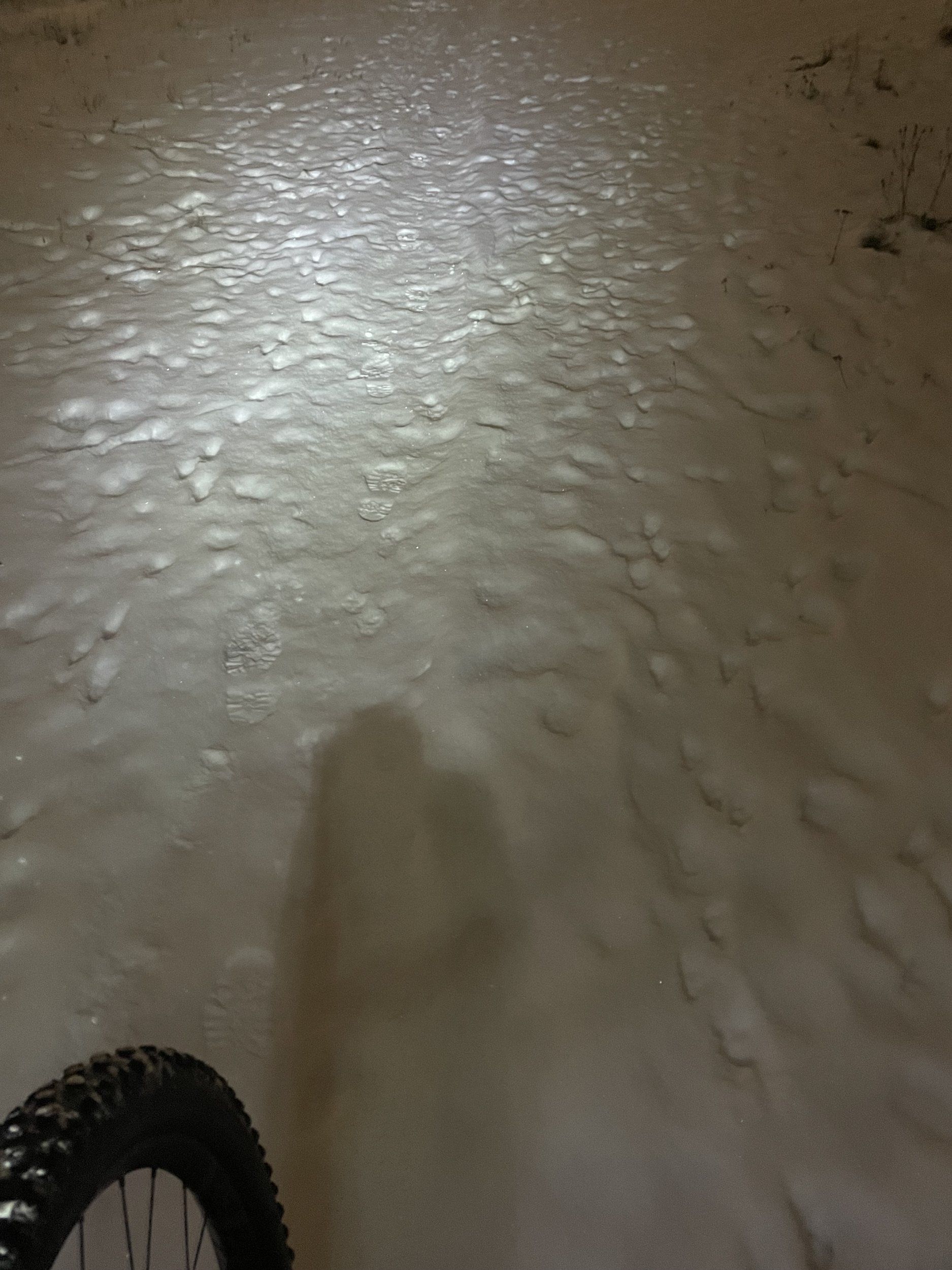 IMG_1358.jpeg