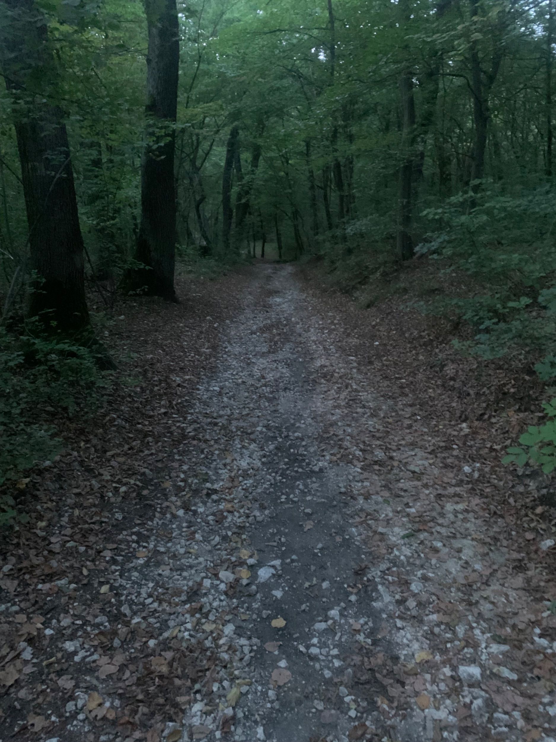 IMG_1385.jpeg