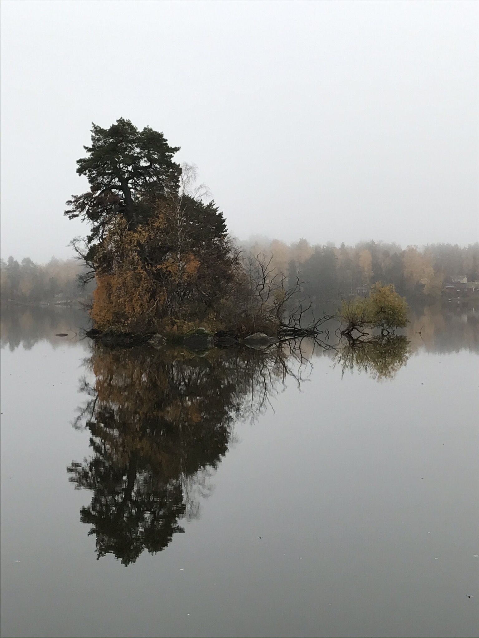 IMG_1465.JPEG