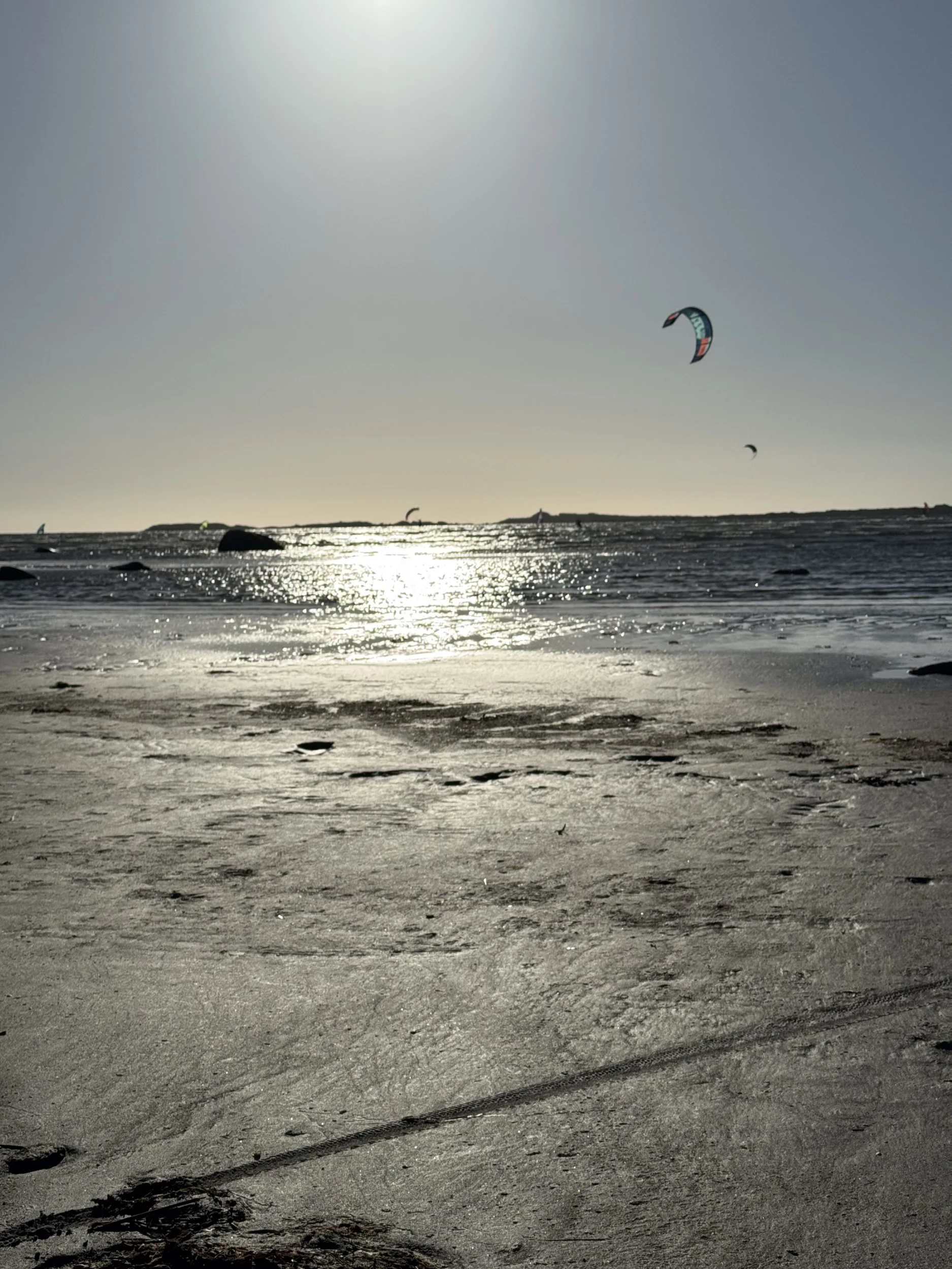 IMG_1540.webp