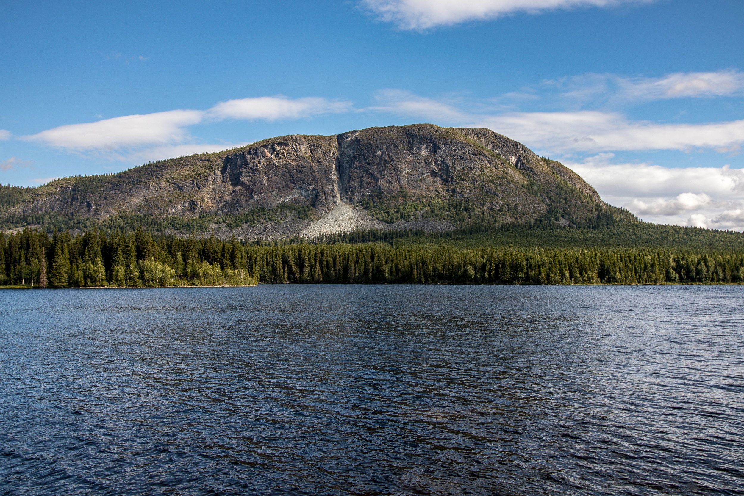 IMG_1568_edited.jpg