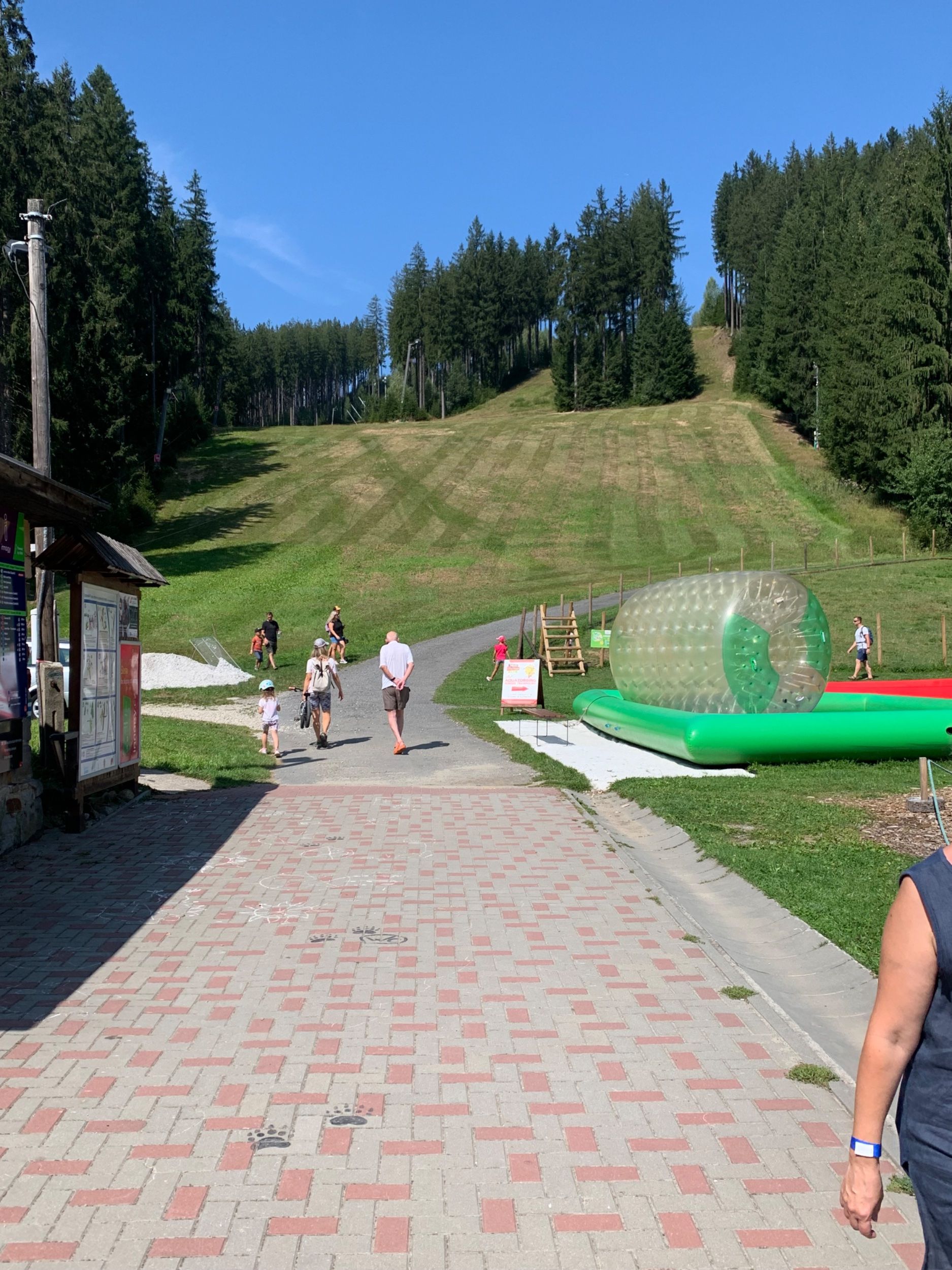 IMG_1571.jpeg