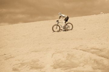 IMG_1593.jpg