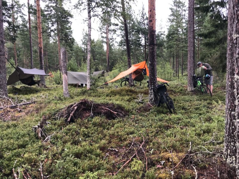 IMG_1613 (kopia) 800px.jpeg