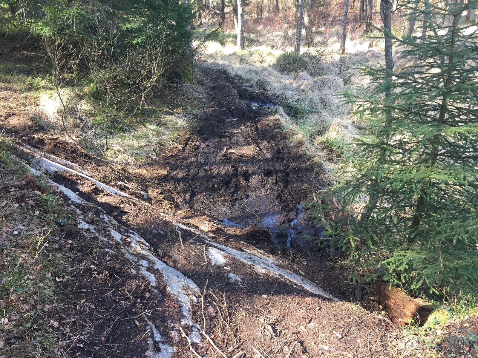 IMG_1656.JPG