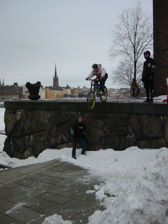 IMG_1732_x.jpg