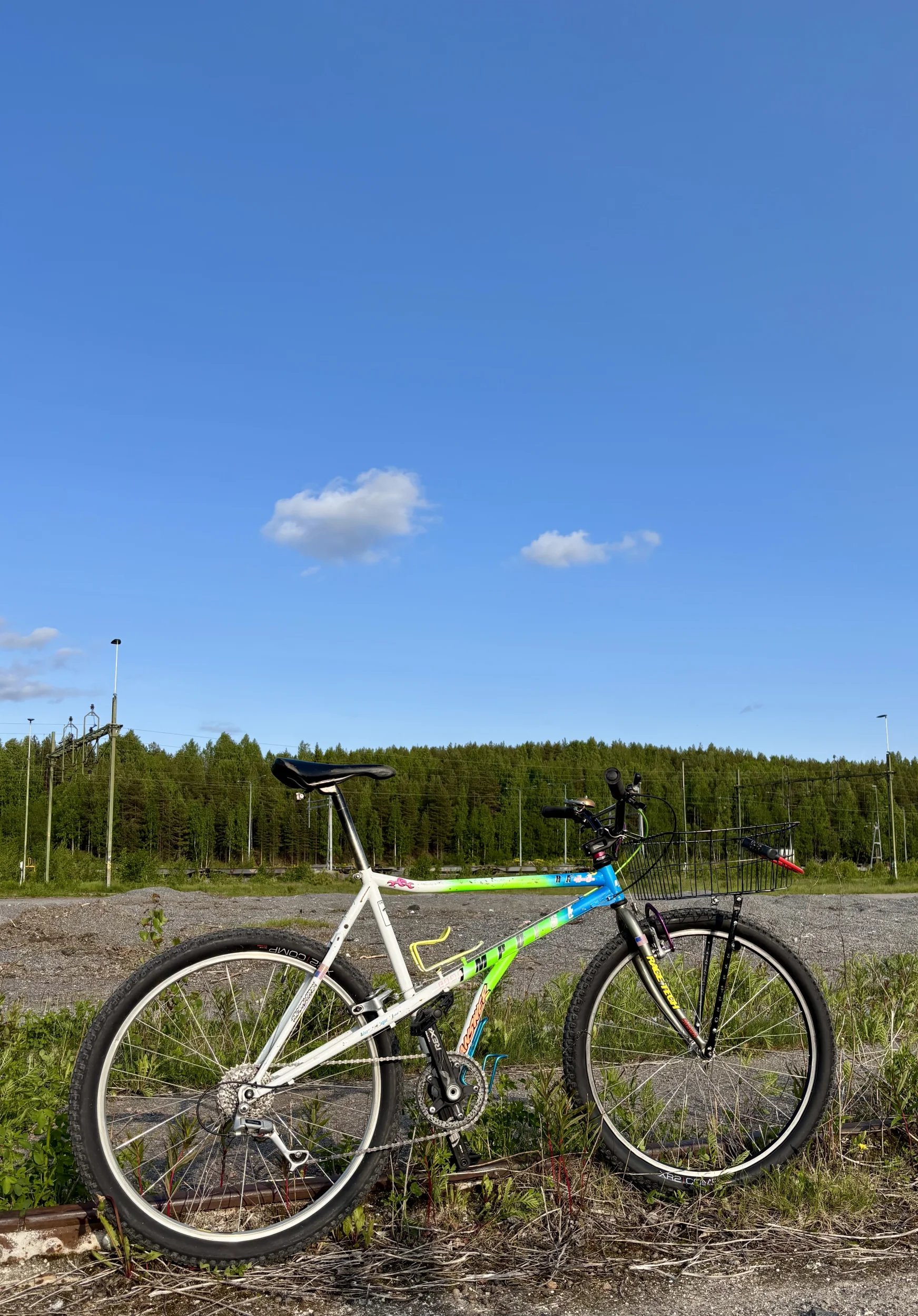 IMG_1743.webp