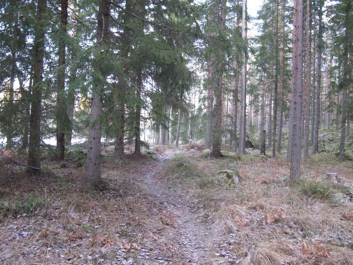 IMG_1769.JPG