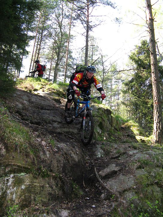 IMG_1781dh.jpg ht=725